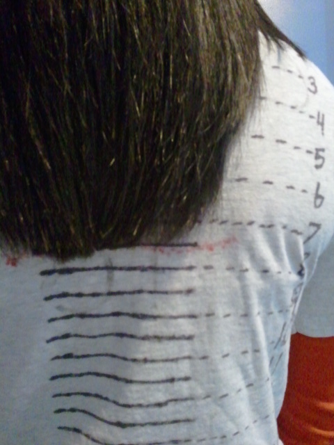 how to grow long hair really fast how to grow long hair really fast